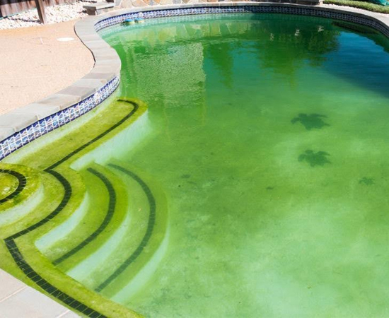 Why Is My Pool Green? (And How to Fix It Fast in Denver)